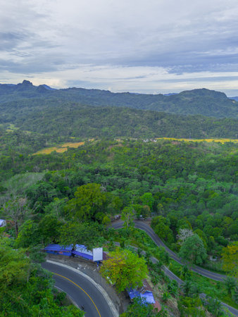 the beauty of Indonesia with mangrove forests and beaches at sunset