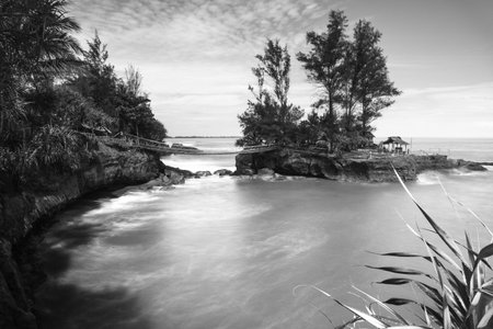 the beauty of Indonesia with mangrove forests and beaches at sunsetの写真素材