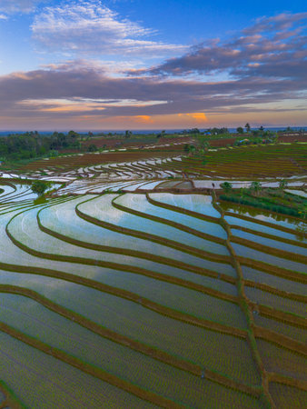Beautiful morning view indonesia panorama landscape paddy fields with beauty color and sky natural...