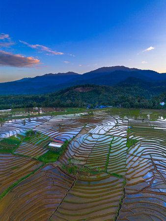 Beautiful morning view indonesia panorama landscape paddy fields with beauty color and sky natural lightの写真素材