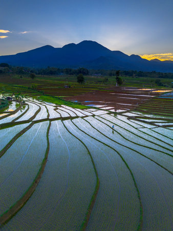 Beautiful morning view indonesia panorama landscape paddy fields with beauty color and sky natural lightの写真素材
