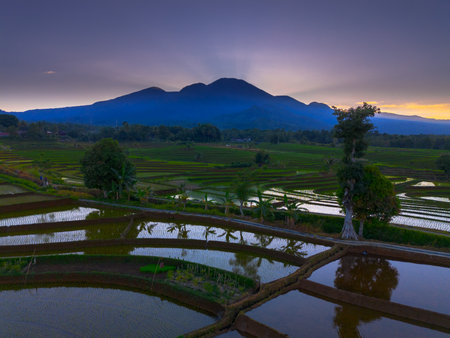 Beautiful morning view indonesia panorama landscape paddy fields with beauty color and sky natural lightの写真素材