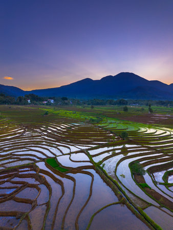 Beautiful morning view indonesia panorama landscape paddy fields with beauty color and sky natural lightの写真素材