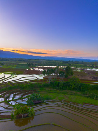 Beautiful morning view indonesia panorama landscape paddy fields with beauty color and sky natural lightの写真素材