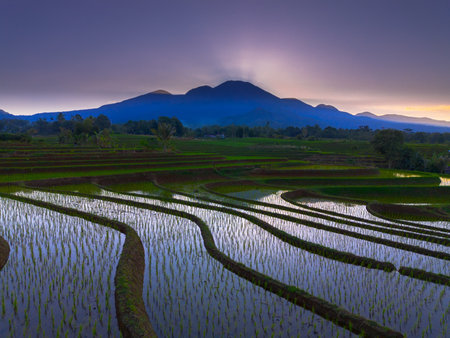 Beautiful morning view indonesia panorama landscape paddy fields with beauty color and sky natural lightの写真素材
