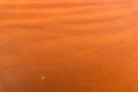 the beauty of Indonesia with mangrove forests and beaches at sunsetの写真素材