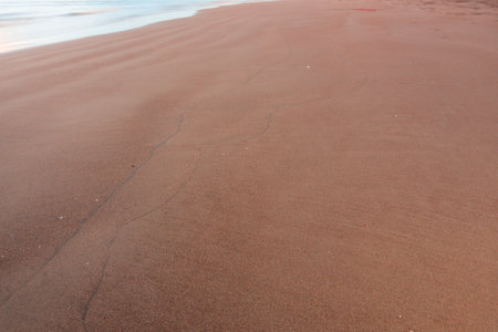 the beauty of Indonesia with mangrove forests and beaches at sunsetの写真素材