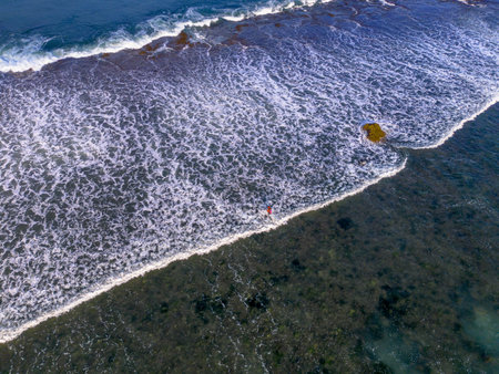 the beauty of Indonesia with mangrove forests and beaches at sunsetの写真素材