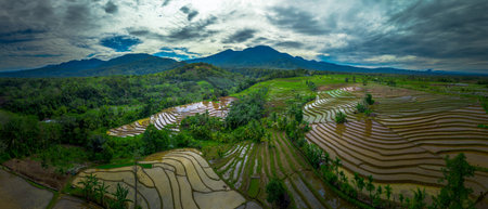 Aerial view of Indonesia's lush rice fields with majestic mountain backdrop, showcasing natural...