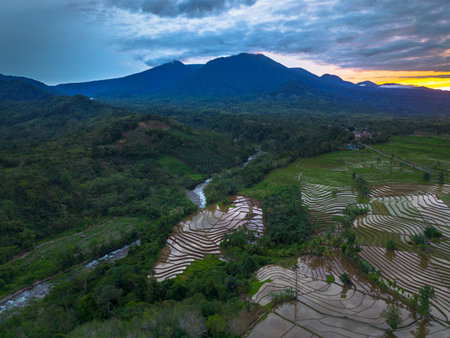 the beauty of Indonesia with mangrove forests at sunsetの写真素材
