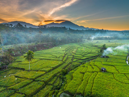 Beautiful morning view indonesia panorama landscape paddy fields with beauty color and sky natural...