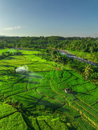 Beautiful morning view indonesia panorama landscape paddy fields with beauty color and sky natural...