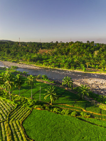 Beautiful morning view indonesia panorama landscape paddy fields with beauty color and sky natural lightの写真素材