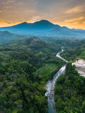 Beautiful morning view indonesia panorama landscape paddy fields with beauty color and sky natural lightの写真素材