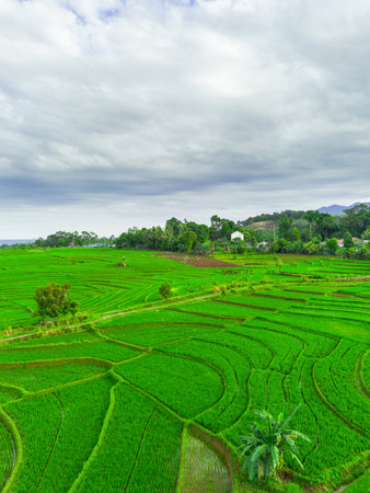 Beautiful morning view indonesia panorama landscape paddy fields with beauty color and sky natural lightの写真素材