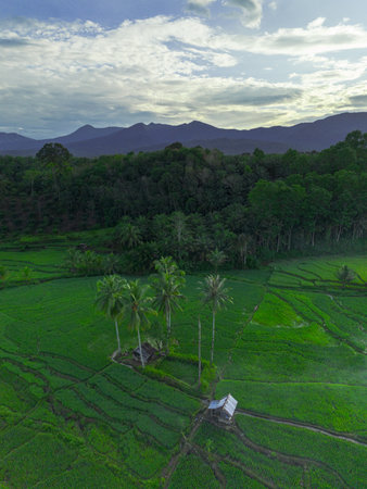 Beautiful morning view indonesia panorama landscape forest with beauty color and sky natural light
