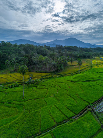 Beautiful morning view indonesia panorama landscape forest with beauty color and sky natural light