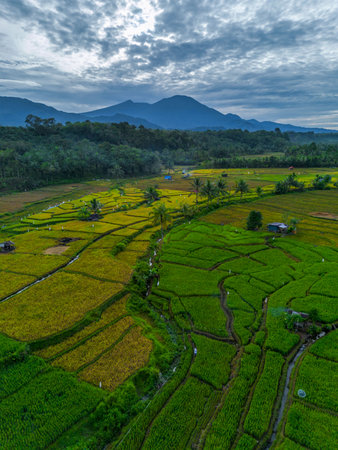 Beautiful morning view indonesia panorama landscape forest with beauty color and sky natural light