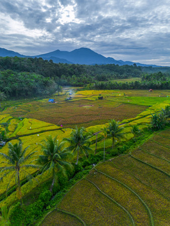 Beautiful morning view indonesia panorama landscape forest with beauty color and sky natural light