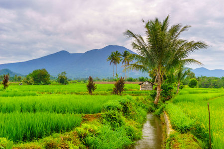 Wonderful sunrise scenery indonesia nature mountain valley forest with bright sky