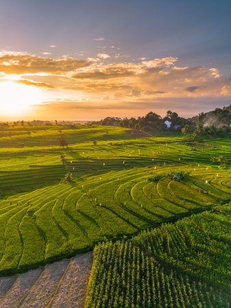 Wonderful sunrise scenery indonesia nature mountain valley forest with bright sky