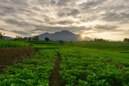 Wonderful sunrise scenery indonesia nature mountain valley forest with bright sky
