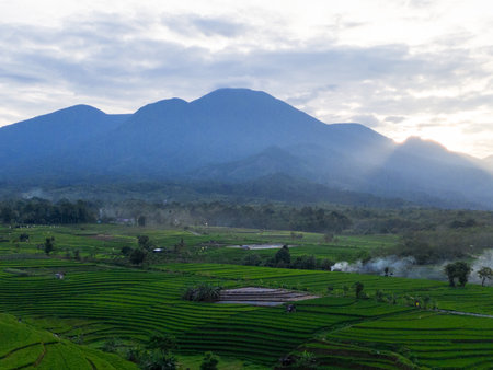 Wonderful sunrise scenery indonesia nature mountain valley forest with bright skyの写真素材
