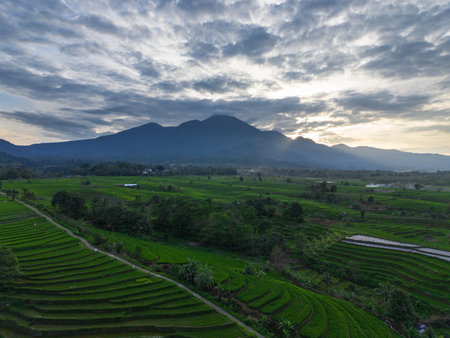 Wonderful sunrise scenery indonesia nature mountain valley forest with bright skyの写真素材
