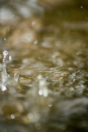 Abstract Nature of Water and Leaves Macro Textureの写真素材