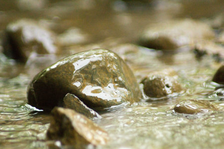 Abstract Nature of Water Macro Textureの写真素材