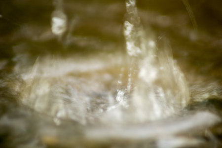 Abstract Nature of Water and Leaves Macro Textureの写真素材