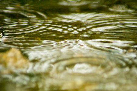 Abstract Nature of Water and Leaves Macro Textureの写真素材