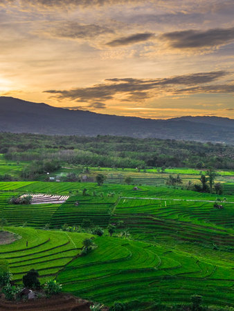 Wonderful sunrise scenery indonesia nature mountain valley forest with bright sky