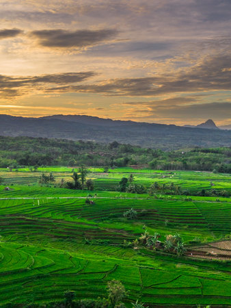 Wonderful sunrise scenery indonesia nature mountain valley forest with bright skyの写真素材