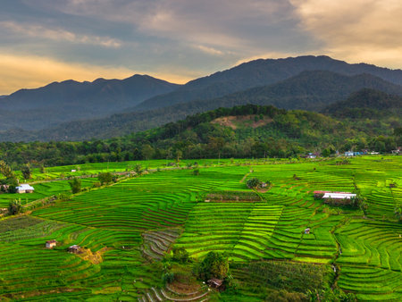 Wonderful sunrise scenery indonesia nature mountain valley forest with bright skyの写真素材