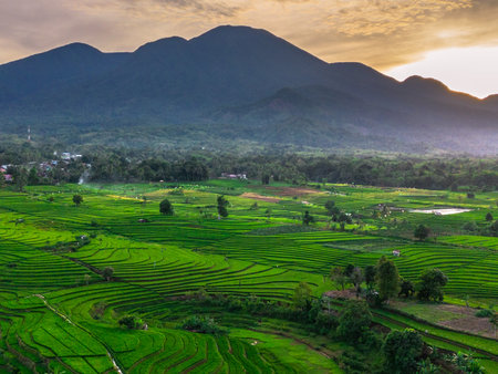 Wonderful sunrise scenery indonesia nature mountain valley forest with bright skyの写真素材