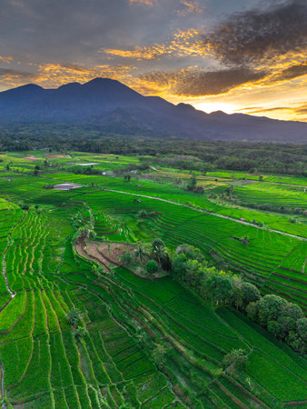 Wonderful sunrise scenery indonesia nature mountain valley forest with bright skyの写真素材