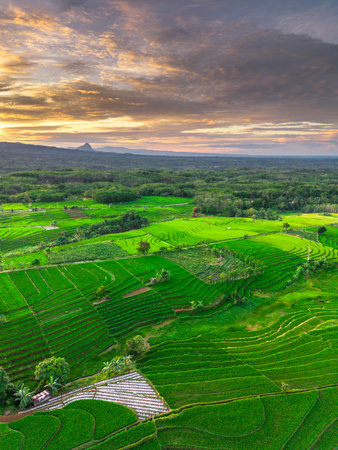 Wonderful sunrise scenery indonesia nature mountain valley forest with bright skyの写真素材