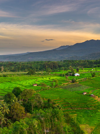 Wonderful sunrise scenery indonesia nature mountain valley forest with bright sky
