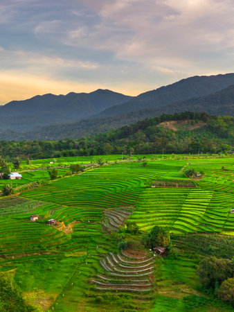 Wonderful sunrise scenery indonesia nature mountain valley forest with bright skyの写真素材