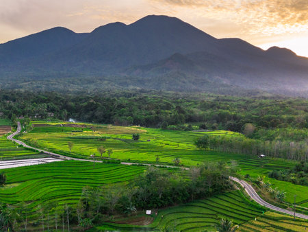 Wonderful sunrise scenery indonesia nature mountain valley forest with bright skyの写真素材