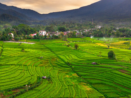 Wonderful sunrise scenery indonesia nature mountain valley forest with bright skyの写真素材