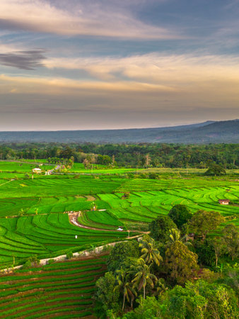 Wonderful sunrise scenery indonesia nature mountain valley forest with bright skyの写真素材