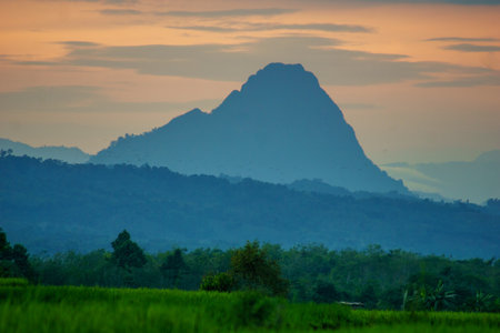 Beautiful morning view indonesia panorama landscape paddy fields with beauty color and sky natural...