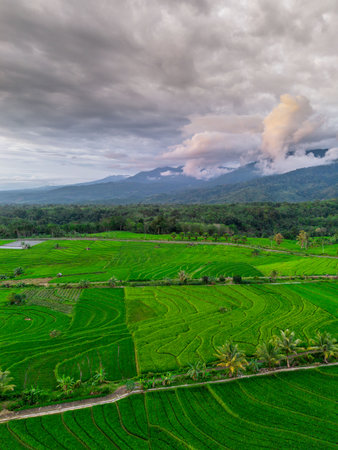 Beautiful morning view indonesia panorama landscape paddy fields with beauty color and sky natural...