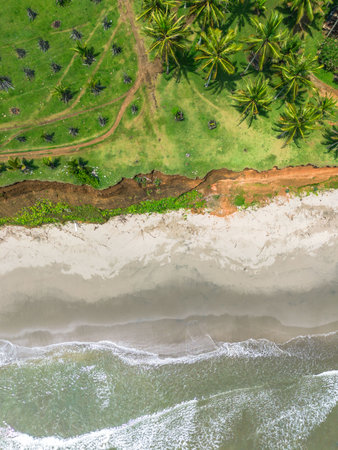 Beautiful morning view indonesia Panorama Landscape paddy fields with beauty color and sky natural...