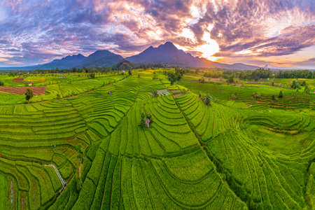 Beautiful morning view indonesia Panorama Landscape paddy fields with beauty color and sky natural lightの写真素材