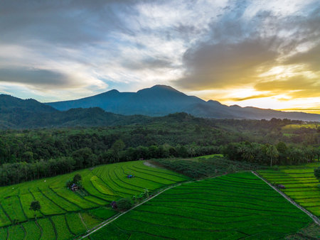 Beautiful morning view indonesia Panorama Landscape paddy fields with beauty color and sky natural lightの写真素材