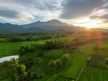 Beautiful morning view indonesia Panorama Landscape paddy fields with beauty color and sky natural...