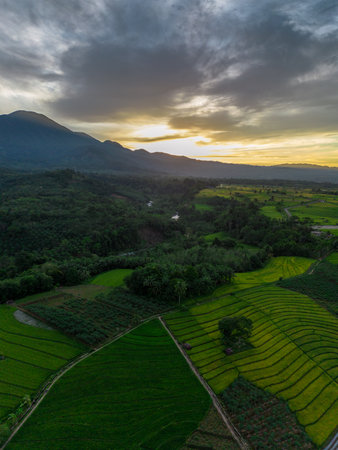 Beautiful morning view indonesia Panorama Landscape paddy fields with beauty color and sky natural...